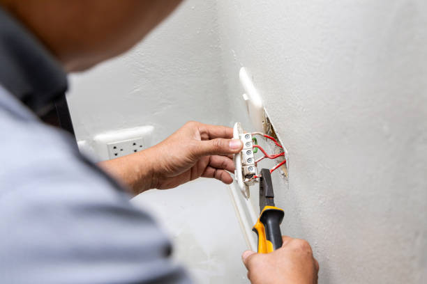 Best Affordable Electrician  in Belle Plaine, MN