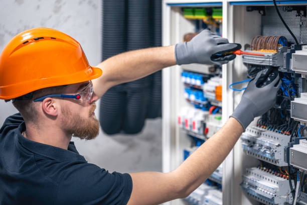Best Ceiling Fan Installation Electrician  in Belle Plaine, MN