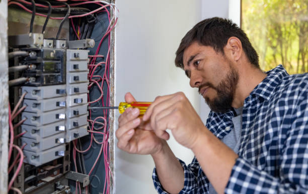 Best Electrician for Home Renovation  in Belle Plaine, MN